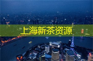 上海新茶工作室：与自然亲近！上海新茶工作室以“茶”为媒带你感受大自然之美！