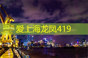 网络巨头云集上海论坛:打造数字化未来的舞台! 网络巨头云集上海论坛:打造数字化未来的舞台!