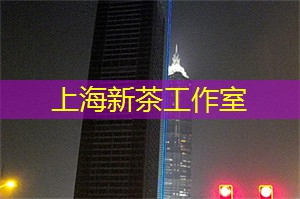 夜上海,揭秘夜晚背后的神秘面纱 夜上海,揭秘夜晚背后的神秘面纱