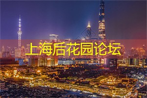 上海新茶工作室：上海新茶工作室：为你呈现茶艺文化的瑰丽盛宴！